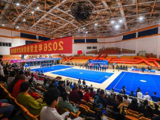 2026年北京市传统武术锦标赛圆满举办