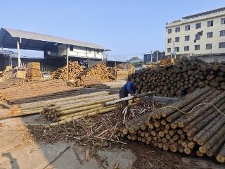 工行兴义万峰支行：告别“等贷”焦虑！赋能木材产业“老树发新枝”