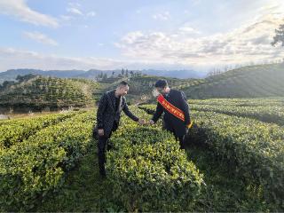 工行铜仁分行：引金融“活水”润茶山 绘就乡村振兴新画卷