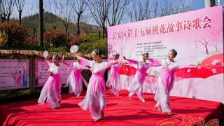 美出圈！长安万亩桃林开诗会 沉浸式体验获点赞