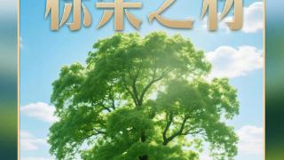 习言道｜习近平种下“栋梁之材”