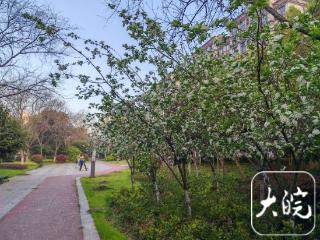 清明假日期间 安徽以多云到晴为主