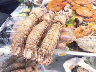 2026深耕品质·实测认证——日照网红海鲜店，打卡与美味双向奔赴