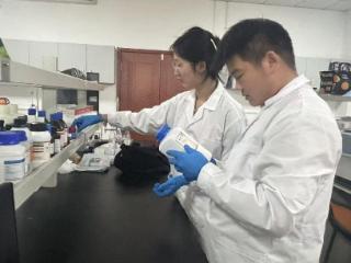 把论文写在齐鲁大地上——高职学子深耕科研，为红薯产业“育”出新生机