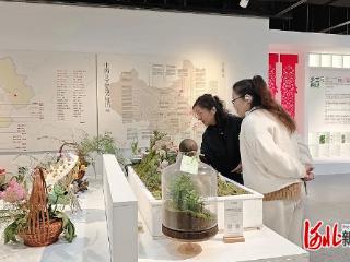 石家庄市第四十五中学美术专业教师走进河北师范大学博物馆参观学习