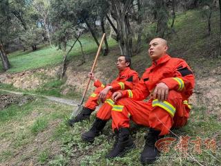清明公祭轩辕黄帝之守护者|一山青柏 ，是桥山护林人的世代守护
