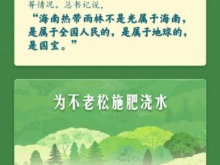 学习新语｜总书记植树护绿的故事