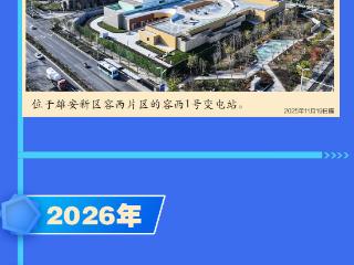 雄安新区拔节生长时间线