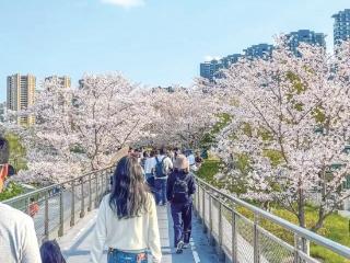 赏花、看戏、逛老街 杭州周末游玩路线上新