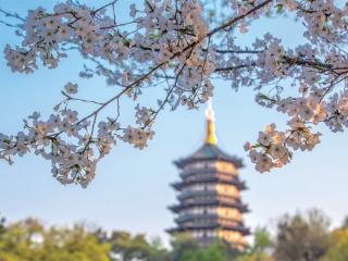 杭州文旅放大招！“吴越杯+演唱会”联动上线