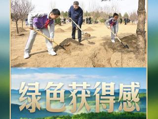 习言道｜连续14年参加首都义务植树，总书记关切这件大事