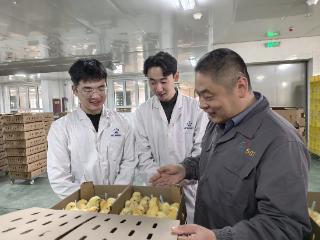 从实验室到孵化场：微盾护鸡团队把科创成果送到养殖一线