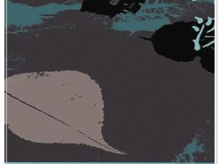 《草木深》里观山水