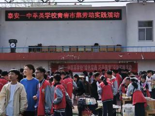 七彩思政 绿韵青春 市集创想——泰安一中萃英学校举行青春市集劳动实践活动