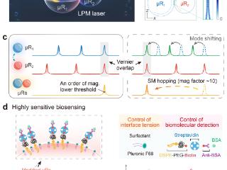 顶刊发文再结硕果—郑州轻工业大学在《Nature Communications》发表液态光子分子微激光器研究成果