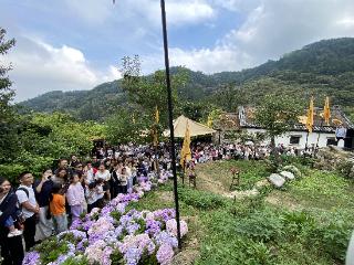 青少年免票上春山！天蒙：以花为媒，打造沉浸式自然景区