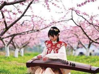 桃花节 海棠展 爱鸟周 我市多个公园邀您共赴春天约会