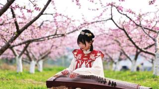 桃花节 海棠展 爱鸟周 我市多个公园邀您共赴春天约会