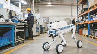 厦企造具身智能机器人加速商业化场景落地