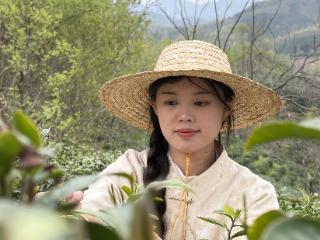 世代传下来的茶香 被这个95后姑娘守住了丨原来你是这样的河南