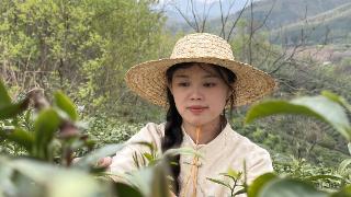 世代传下来的茶香 被这个95后姑娘守住了丨原来你是这样的河南