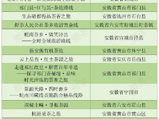 全国100条“茶乡四时好风光”线路发布 安徽14条线路入选