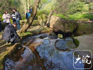 春游江淮请您来｜探访九华天池：在“天然氧吧”中尽享生态之美