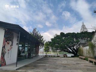 村口树成了园中宝，为了9棵古榕树，温州园博园优化建设方案十余次