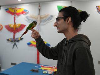 双语视频丨外国人眼中的中式浪漫，竟藏在一只风筝里