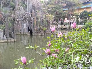 春游江淮请您来 | 沉浸式春游引客来，游客跟随“管仲”周游“列国”