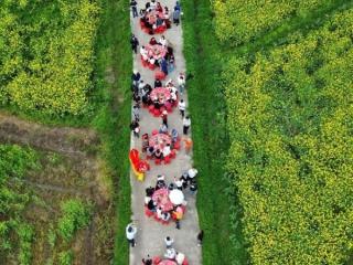 和美乡村直播间｜“你赏花，我管饭！” 安徽宁国网红村书记摆下百人花田宴