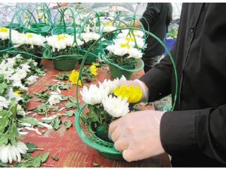 “00后”殡葬礼仪师的清明一天：两万步山路，替远方的人诉说思念