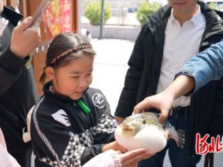 唐山市曹妃甸区：小河豚“笑”迎京津客