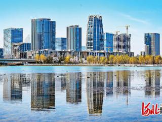 影像记录｜春到雄安看新景