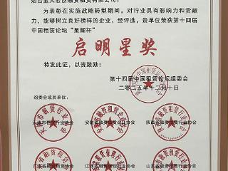 蓝天宏创公司及王丹同志分获“年度启明星奖”与“卓越实践先锋”称号