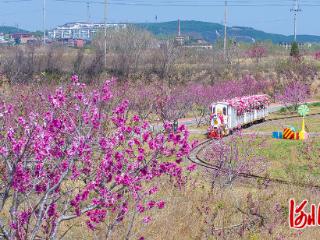 坐着小火车去旅行