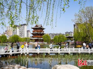 众春园里赏春光