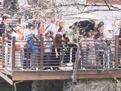 西安兴庆宫公园两人落水 衣服当“救援绳” 众游客合力救援