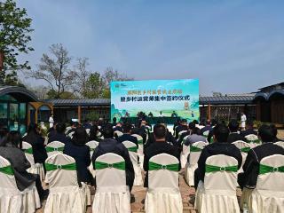 旌阳区创新乡村运营中心 以市场化机制破题乡村振兴