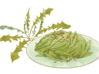 呵护小心肝 少不了这道苦菜