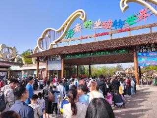 清明假期，济南野生动物世界成踏青出游优选佳地