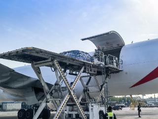 郑州机场首开郑州至迪拜定期国际货运航线