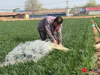从“畅通渠”到“智慧田”——德州天衢新区赵虎镇筑牢水利根基助力乡村振兴
