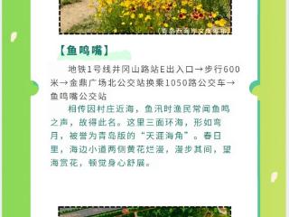 青岛地铁：乘着地铁逛青岛丨清明假期来这6个宝藏地点“反向踏青”