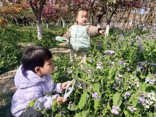 春趣自然，萌娃寻芳——东营市利津县第二实验幼儿园托班开展“寻找春天”活动