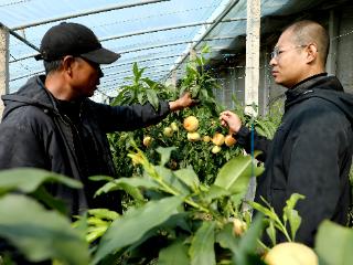 河北滦南：气象服务暖民心 精准护航到田间