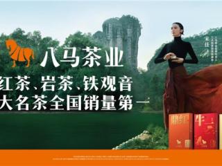 八马茶业多品蝉联全国销冠 四重核心支撑夯实高端茶领军地位