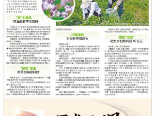 这株小草撬动江西超百亿元生态效益（图）