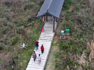 气象预警机跟着游客飞（图）