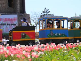 泛舟湖上赏花海